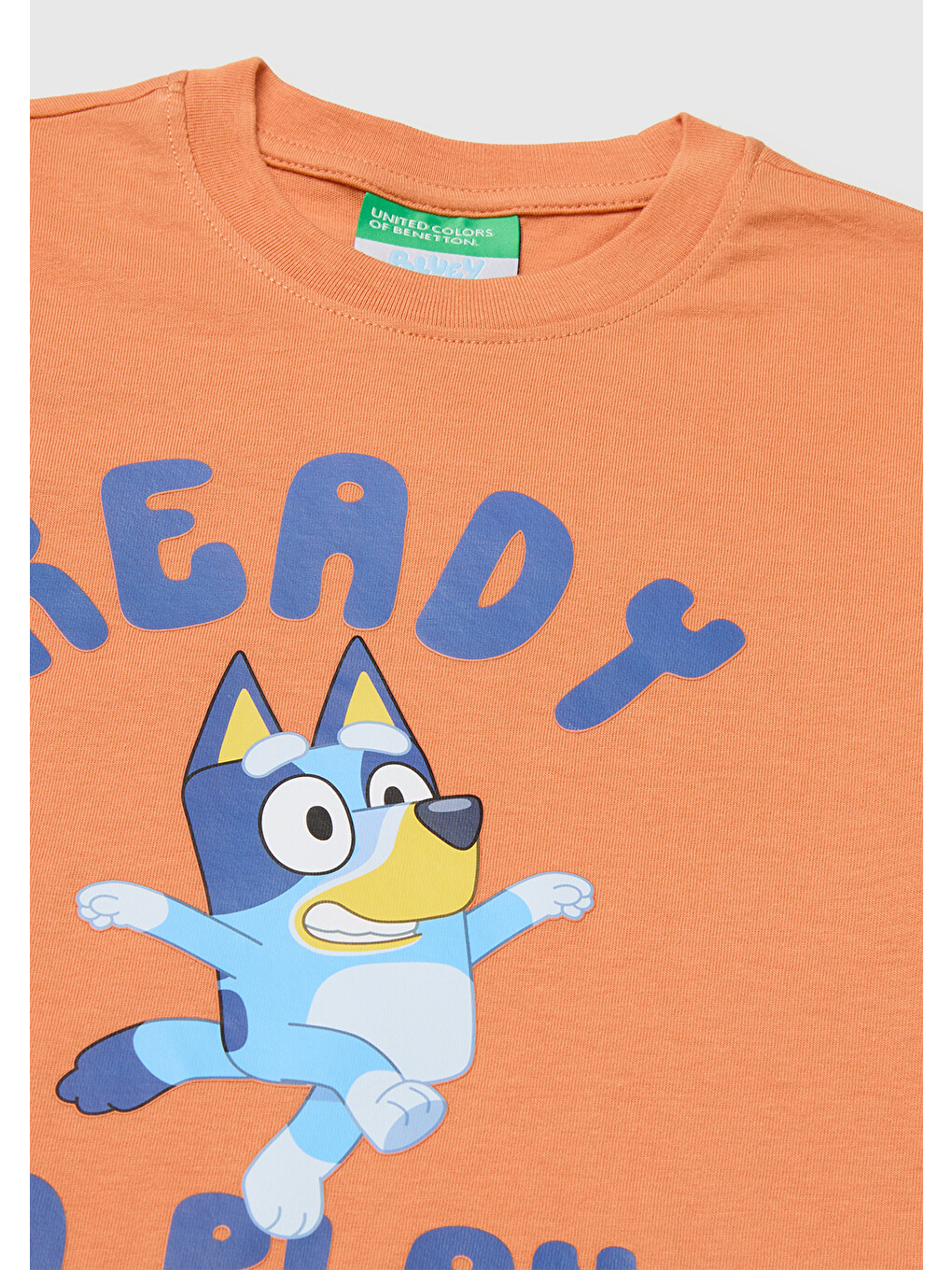 Erkek Bebek Turuncu Bluey Baskı Detaylı Yuvarlak Yaka T-Shirt-2