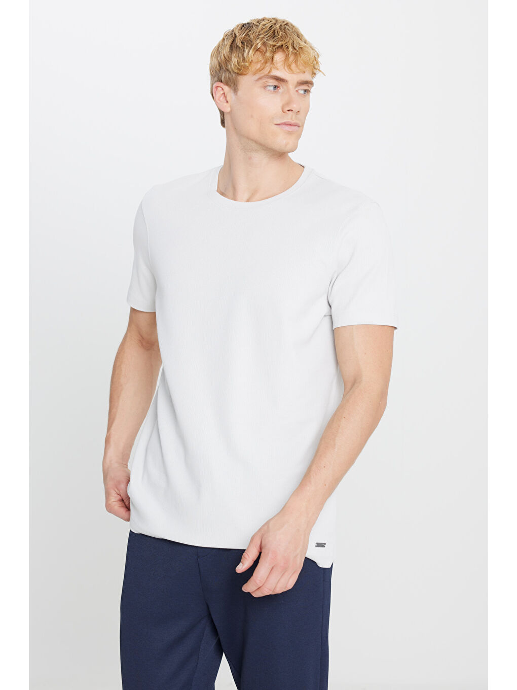 Erkek Gri %100 Pamuk Slim Fit Dar Kesim Bisiklet Yaka Jakarlı Tişört-2