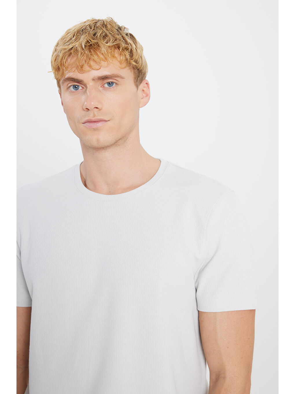 Erkek Gri %100 Pamuk Slim Fit Dar Kesim Bisiklet Yaka Jakarlı Tişört-3