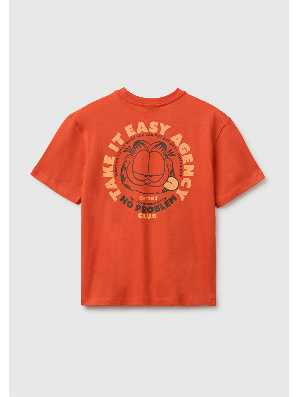 Erkek Çocuk Kırmızı Garfield Baskı Detaylı Yuvarlak Yaka T-Shirt-1