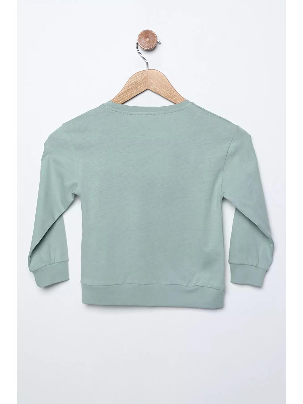 Julude Açık Su Yeşili Bisiklet Yaka Bel Ve Kol Lastikli Baskılı Kız Çocuk Sweatshirt - 2