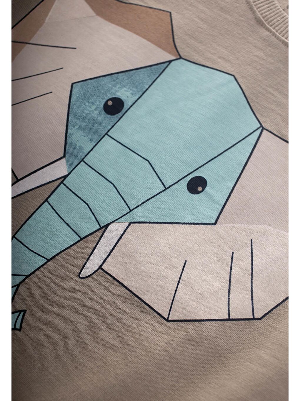 Bej Soyut Fil Baskılı T-Shırt Takım 2-8 Yaş S Vizon-2