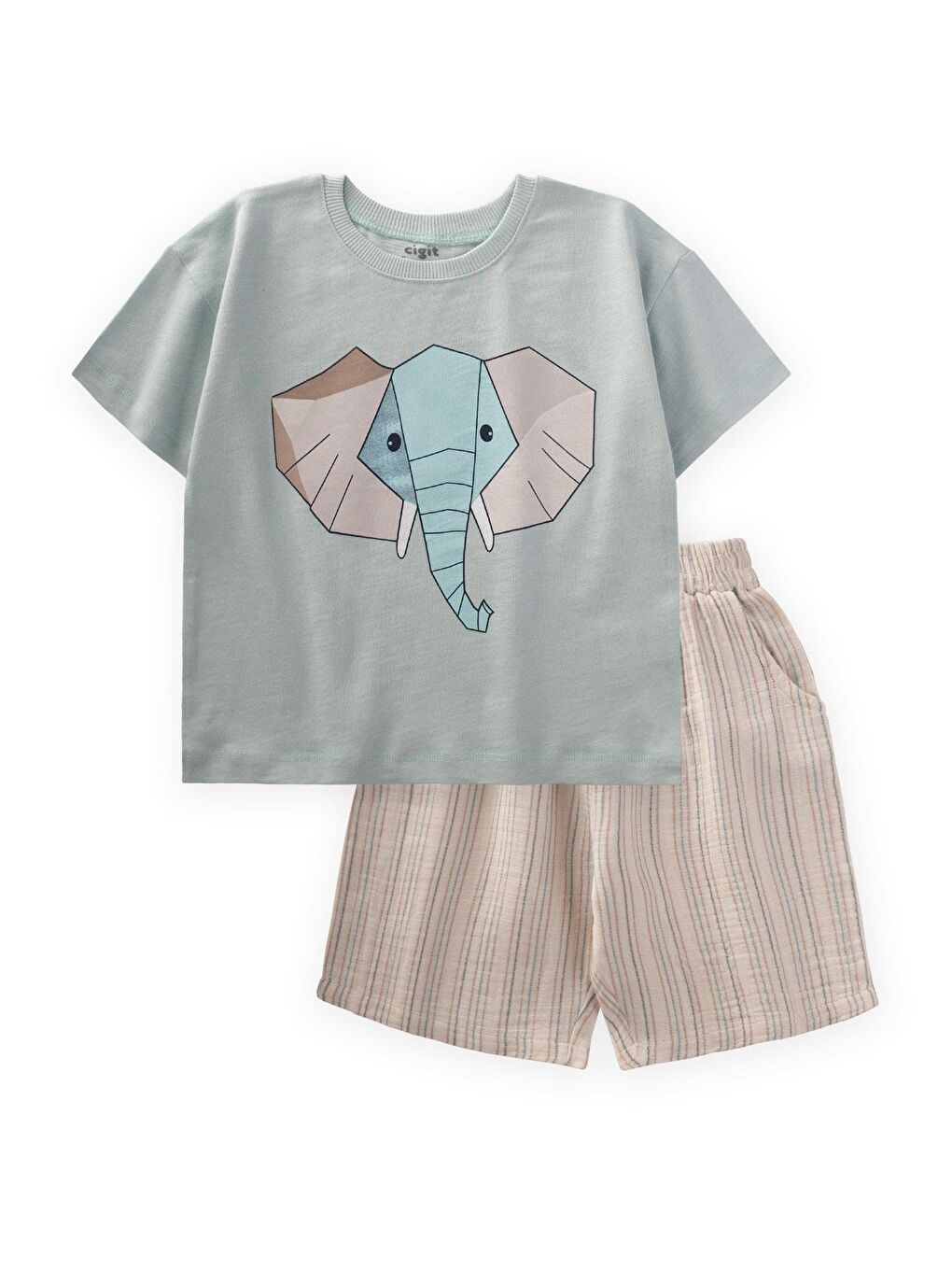 Yeşil Erkek Çocuk Baskılı Takım