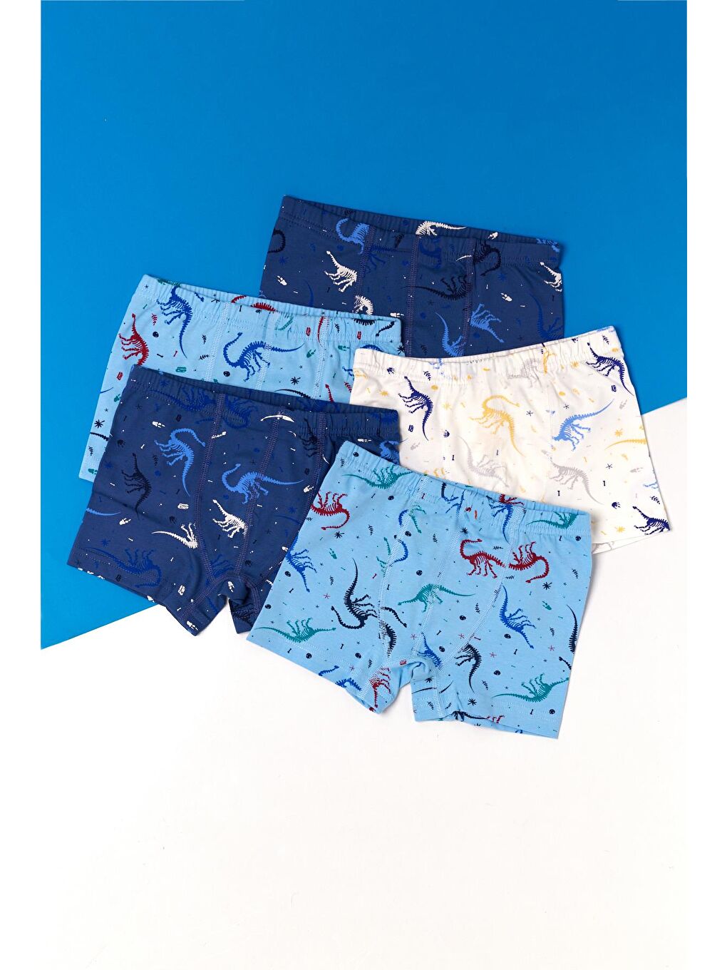 Karışık Erkek Çocuk 5 Li Paket Dinozor Baskılı Boxer