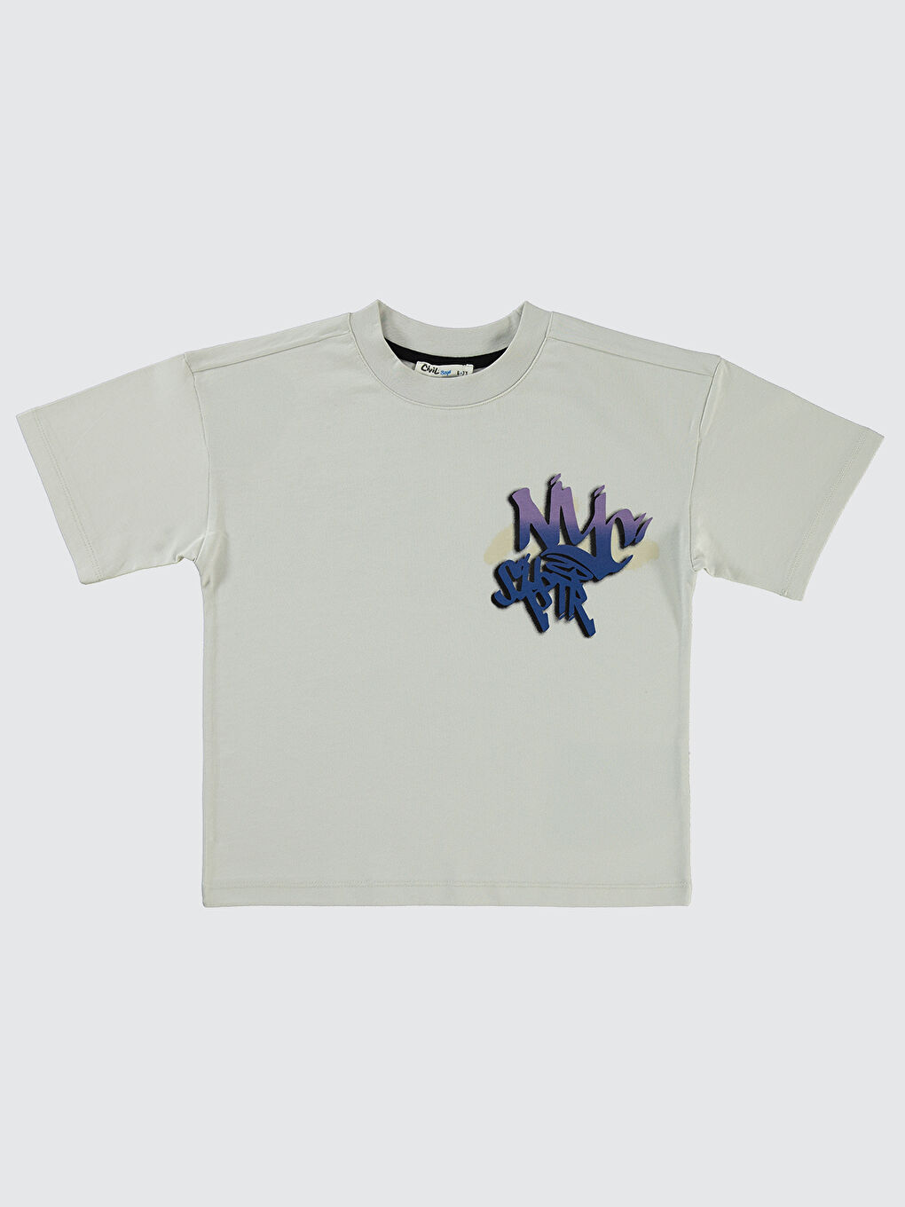 Boys Erkek Çocuk Tişört 6-9 Yaş Açık Gri