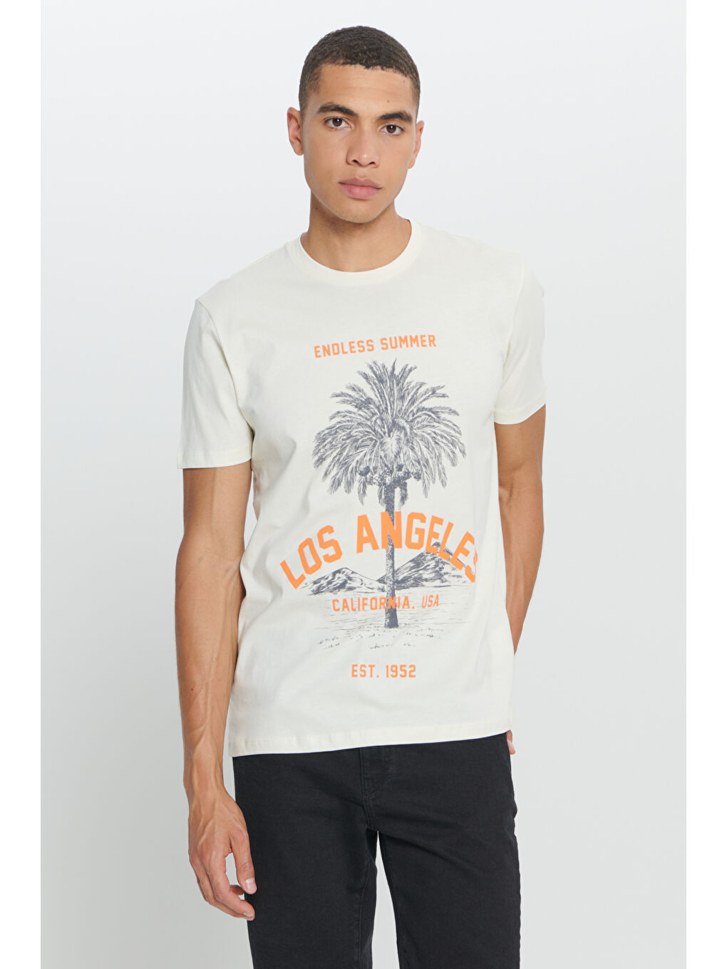 Erkek Sarı Standart Fit Normal Kesim %100 Pamuk Bisiklet Yaka Tişört-2