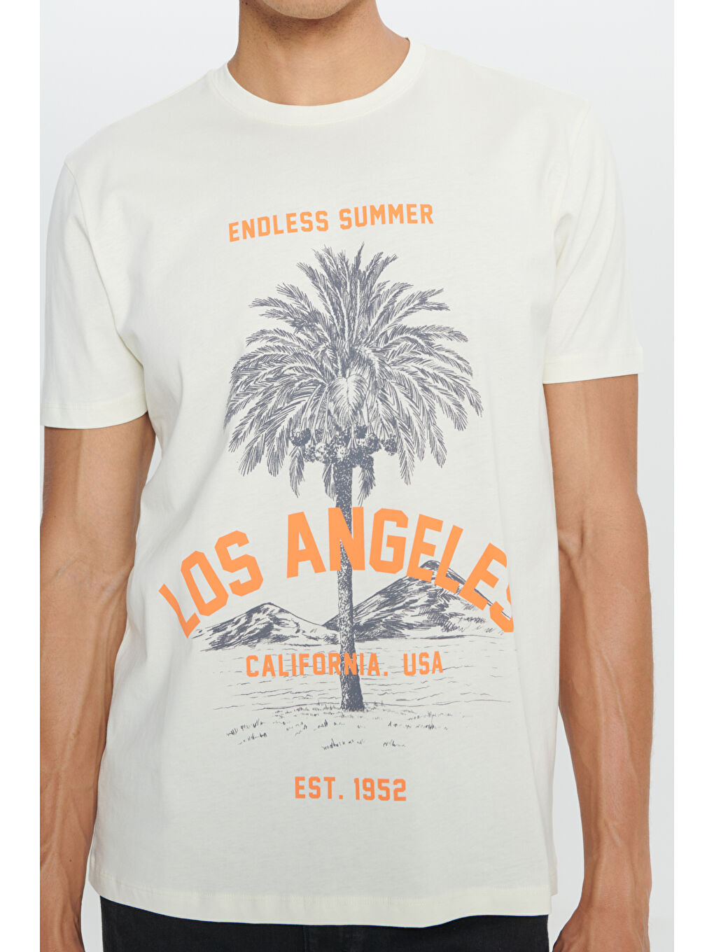 Erkek Sarı Standart Fit Normal Kesim %100 Pamuk Bisiklet Yaka Tişört-4