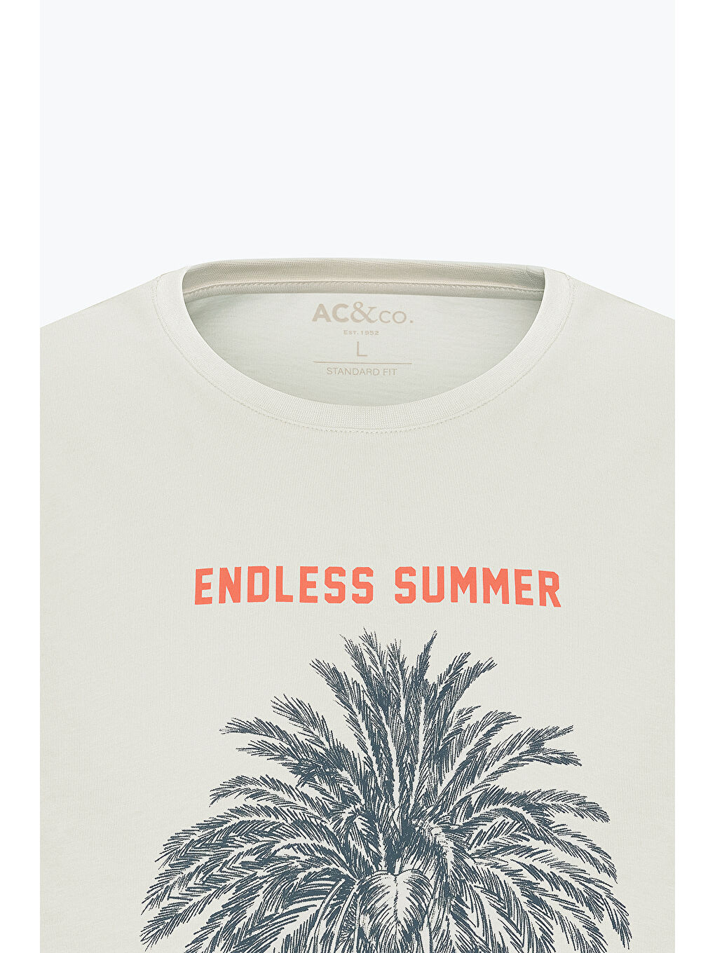 Erkek Sarı Standart Fit Normal Kesim %100 Pamuk Bisiklet Yaka Tişört-7