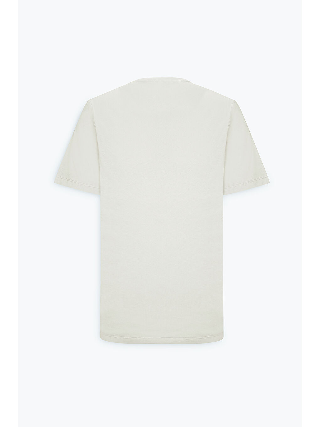 Erkek Sarı Standart Fit Normal Kesim %100 Pamuk Bisiklet Yaka Tişört-9