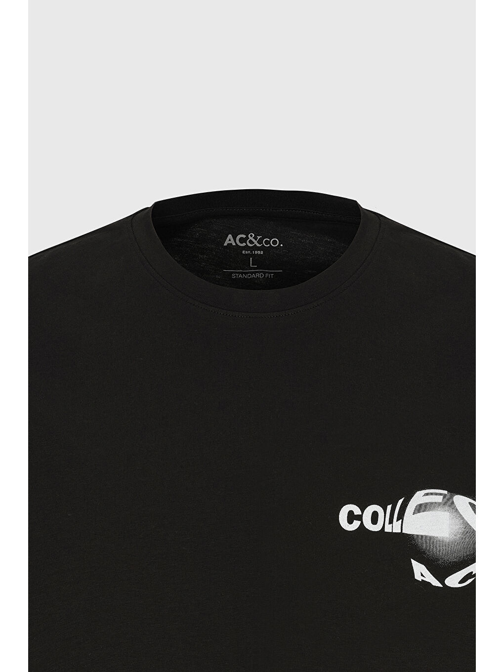 Erkek Siyah Standart Fit Normal Kesim %100 Pamuk Bisiklet Yaka Tişört-6