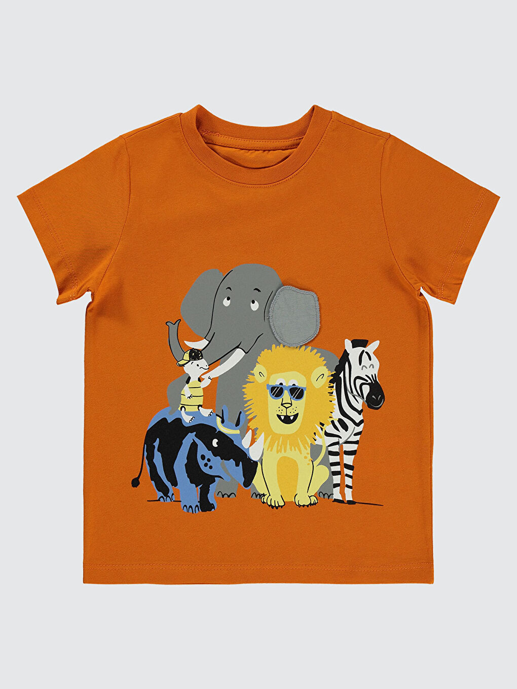 Turuncu Boys Erkek Çocuk Tişört 2-5 Yaş Koyu Oranj