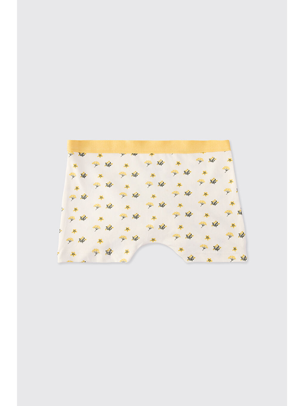 Karışık Kız Çocuk 3'lü Boxer Seti-1