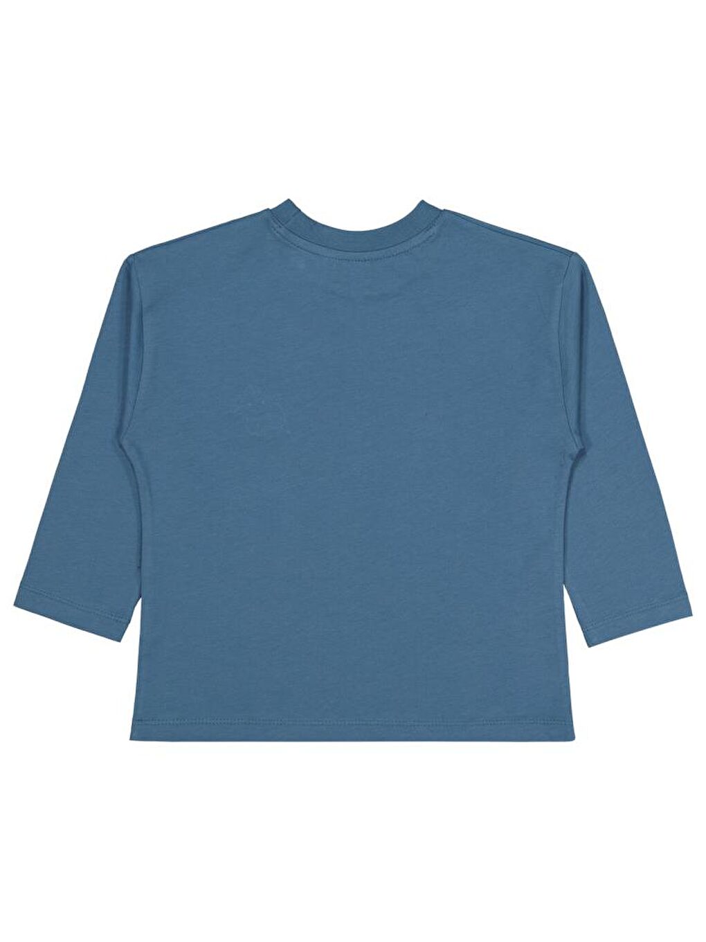 İndigo Boys Tıger Baskılı 2-5 Yaş Sweatshirt-1