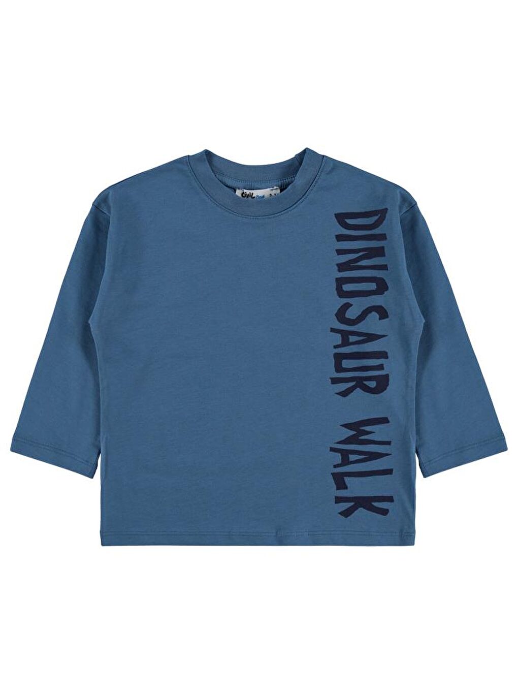 İndigo Boys Dinosaur Walk Baskılı 2-5 Yaş Sweatshirt-1