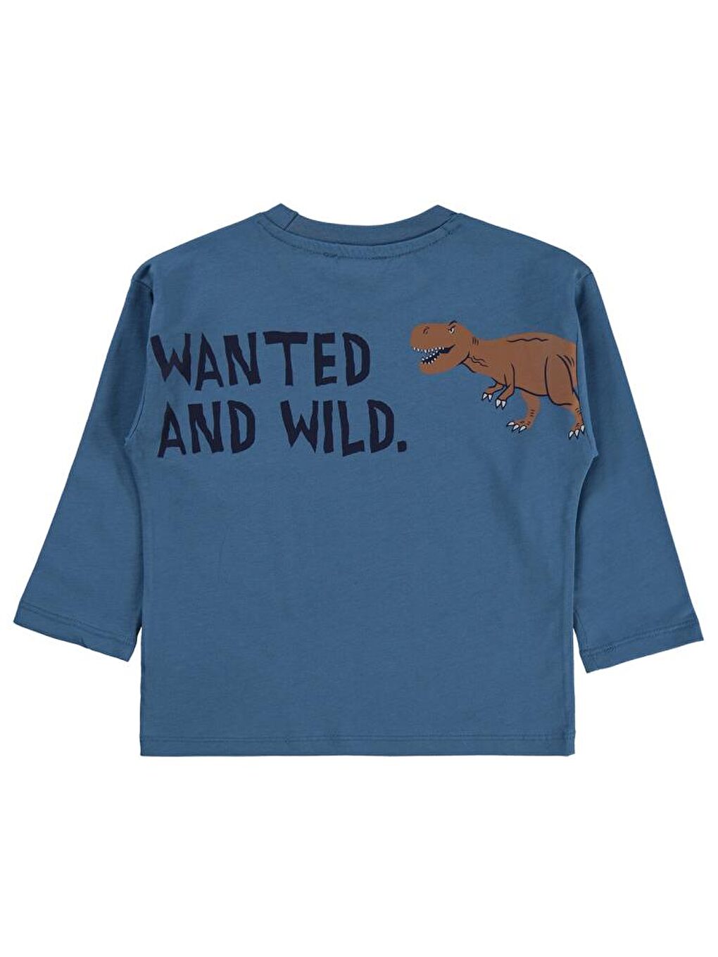 İndigo Boys Dinosaur Walk Baskılı 2-5 Yaş Sweatshirt