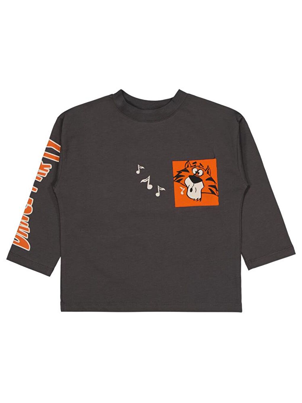 Antrasit J 284 Boys Dance Party Baskılı 2-5 Yaş Sweatshirt-2