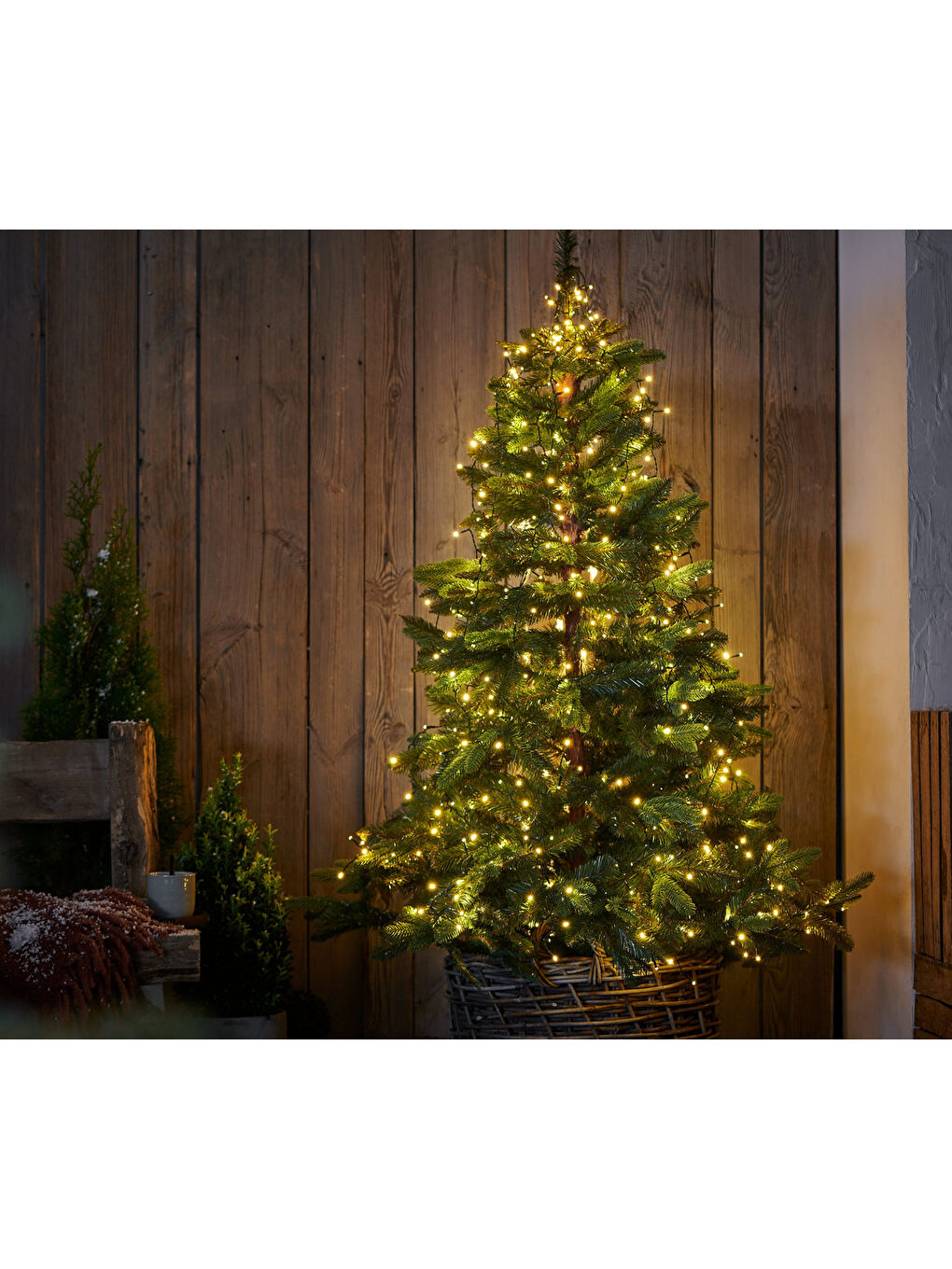 Yeşil LED Işık Tentesi, Dış Mekan