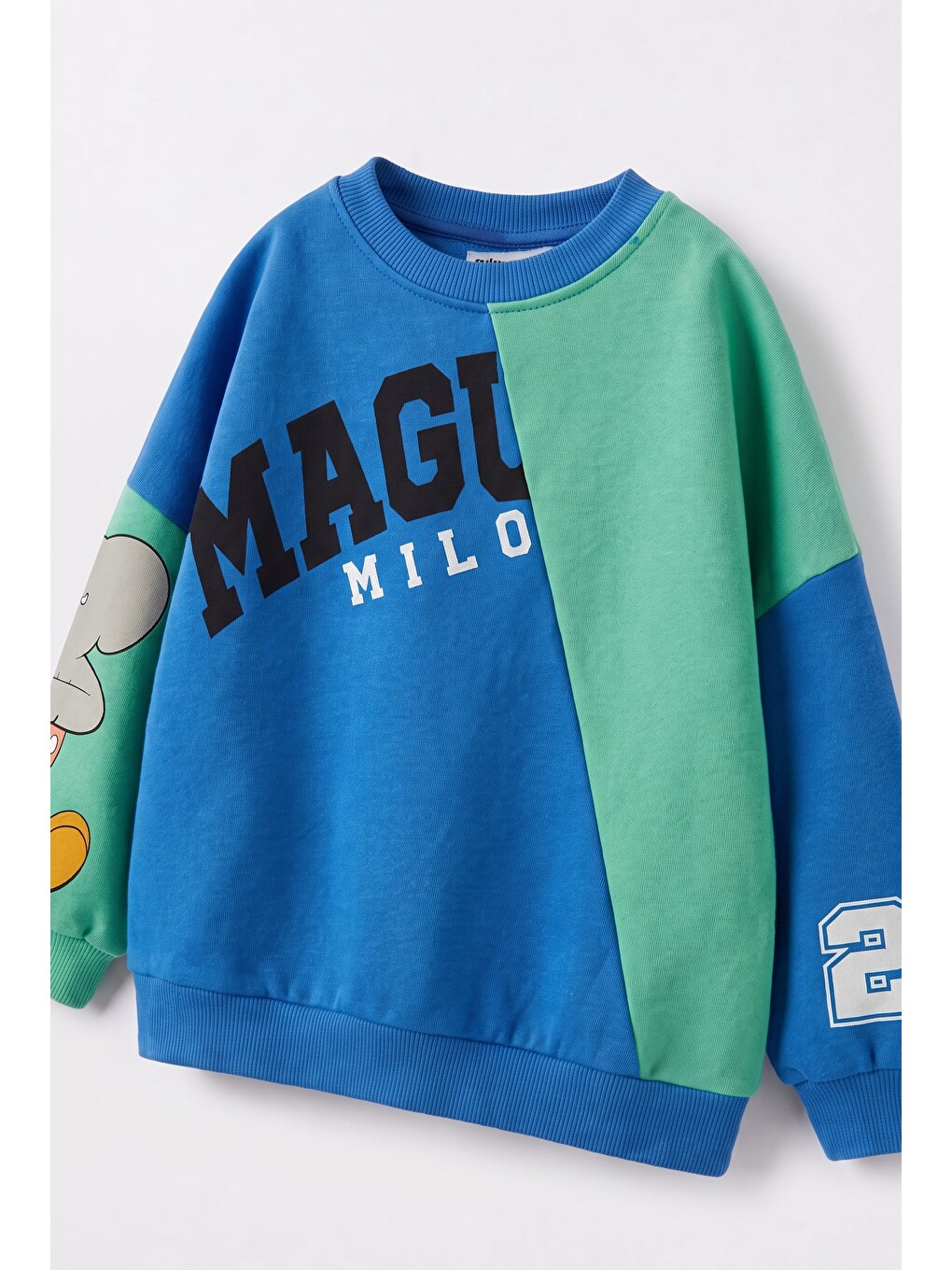 Karışık Çocuk Ve Milo Baskılı Mavi Yeşil Sweatshirt Ve Eşofman Altı Takımı-3