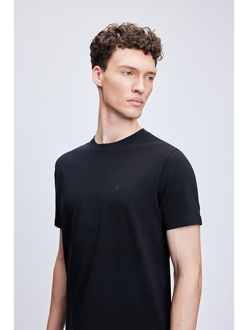 Siyah Regular Fit Bisiklet Yaka Pamuklu Tişört-2