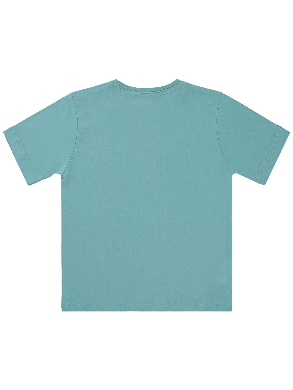 Turkuaz Boys Basic Surf Etiketli 6-9 Yaş Tişört - Mavi-1