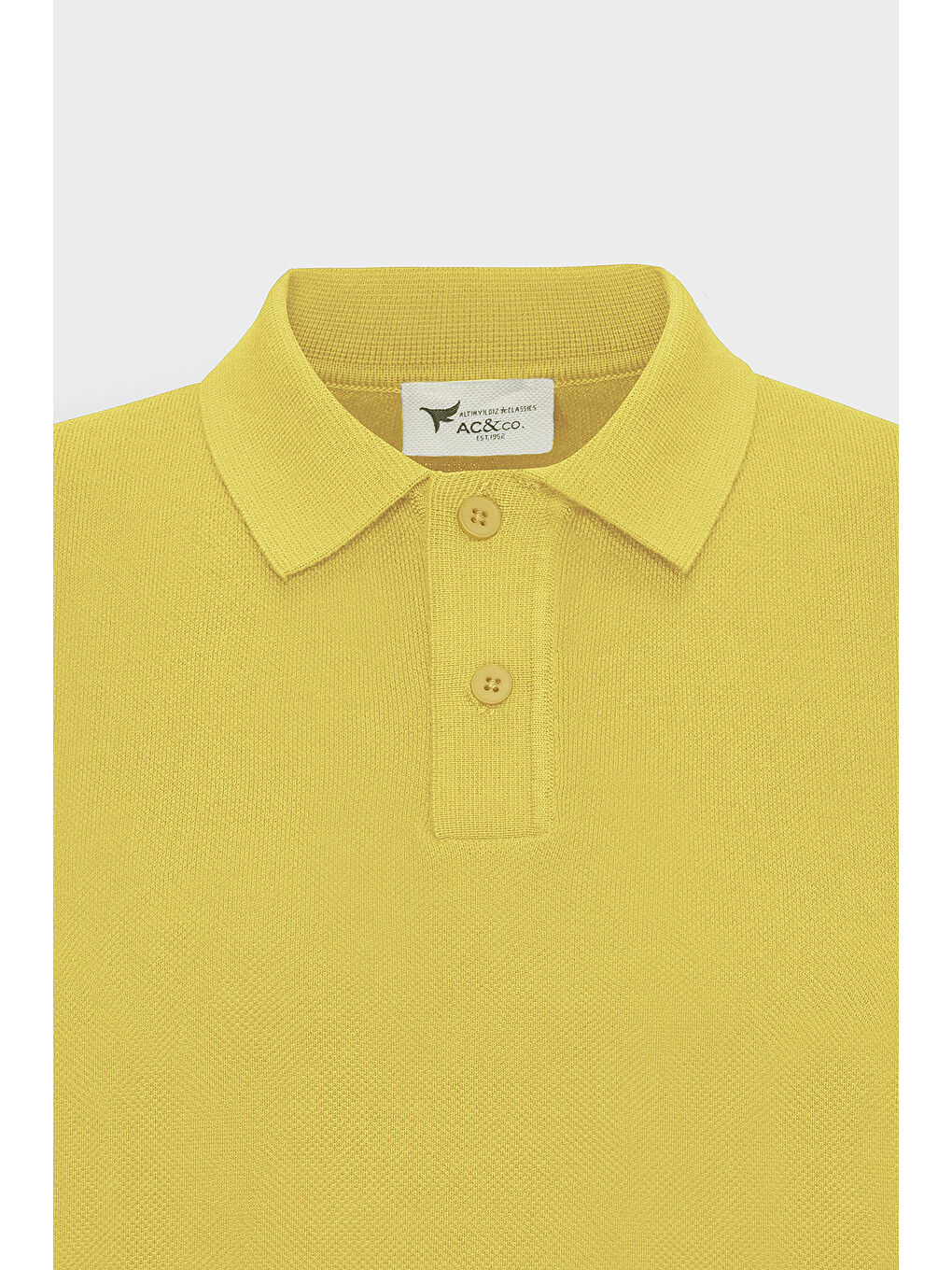 Erkek Sarı Standart Fit Normal Kesim Polo Yaka %100 Pamuk Desenli Kısa Kollu Triko Tişört-6