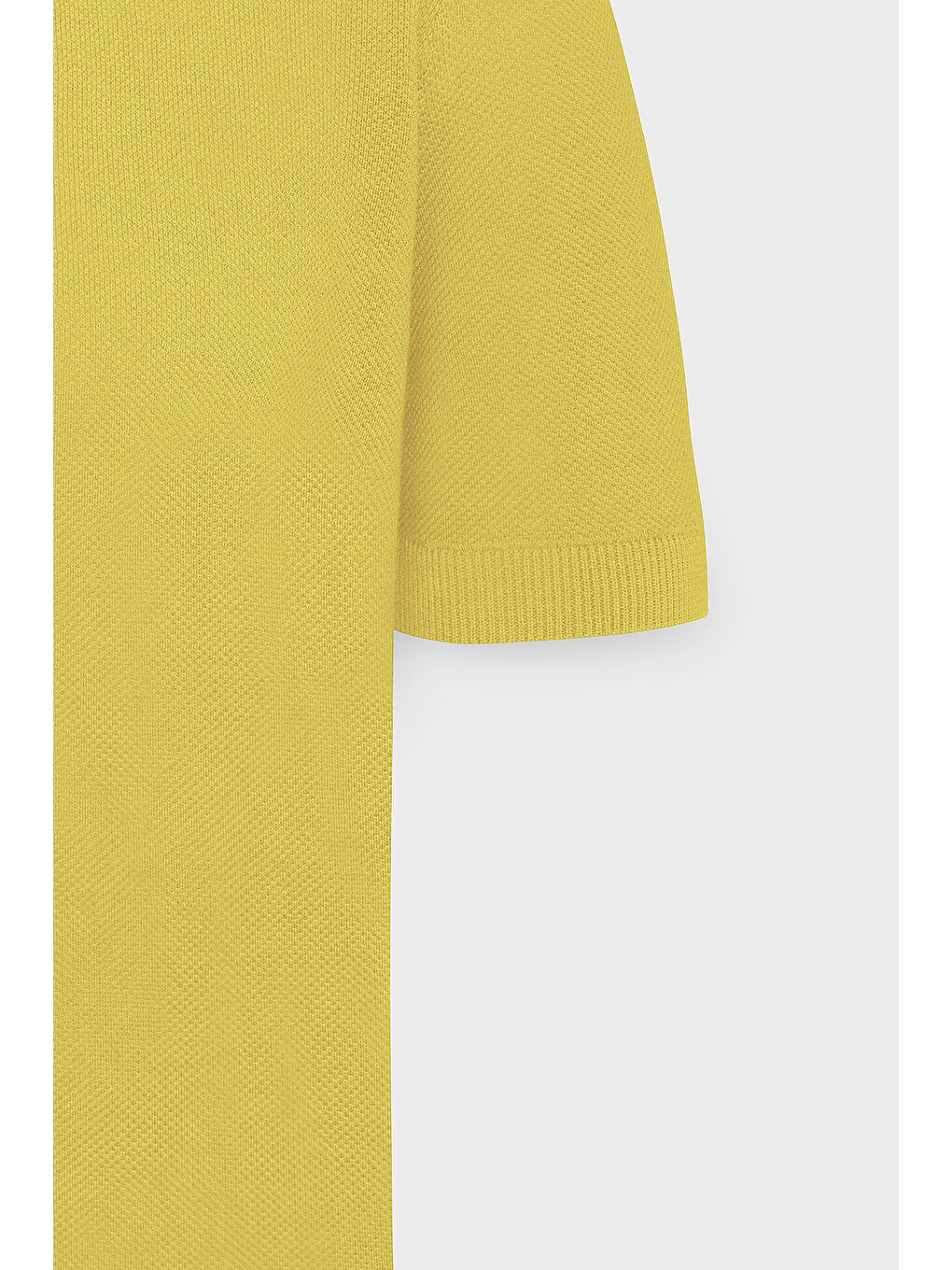 Erkek Sarı Standart Fit Normal Kesim Polo Yaka %100 Pamuk Desenli Kısa Kollu Triko Tişört-7