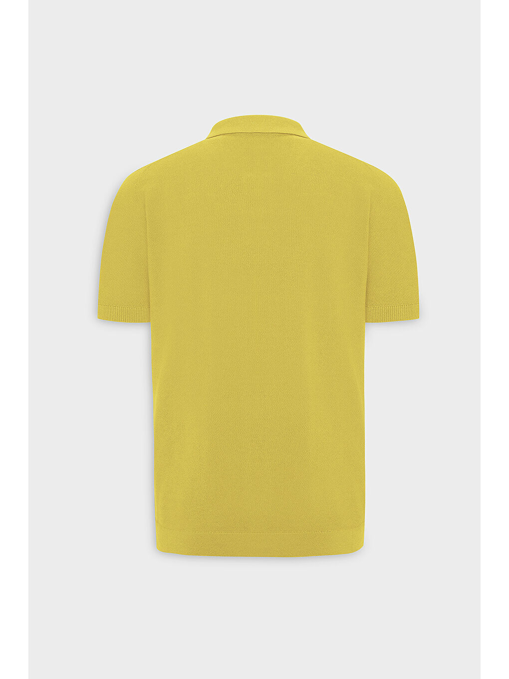 Erkek Sarı Standart Fit Normal Kesim Polo Yaka %100 Pamuk Desenli Kısa Kollu Triko Tişört-8