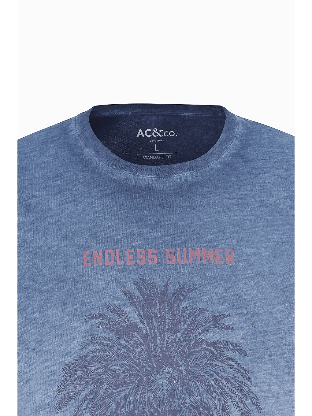 Erkek İndigo Standart Fit Normal Kesim %100 Pamuk Flamlı Bisiklet Yaka Tişört-6