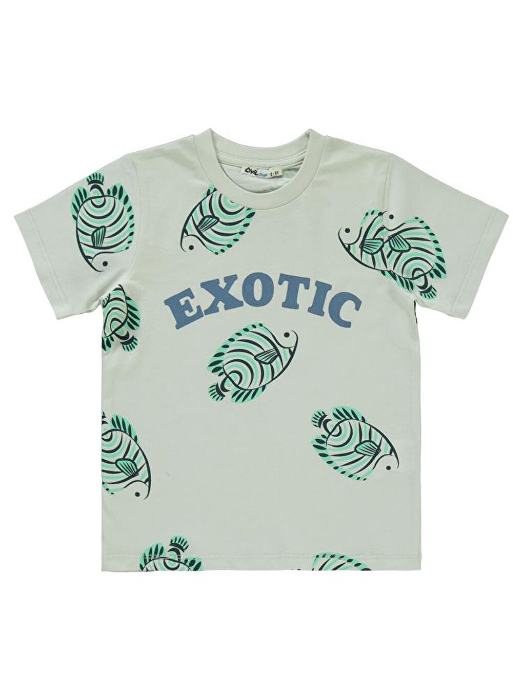 Gri Boys Exotıc Baskılı 2-5 Yaş Takım-2