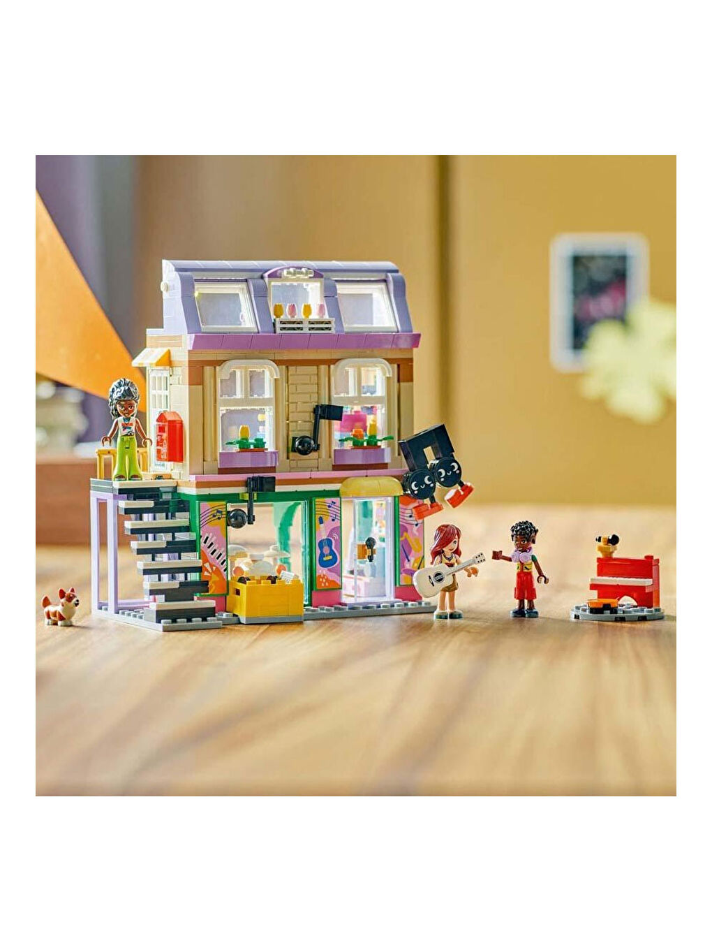 Friends Müzik Mağazası 42653-3