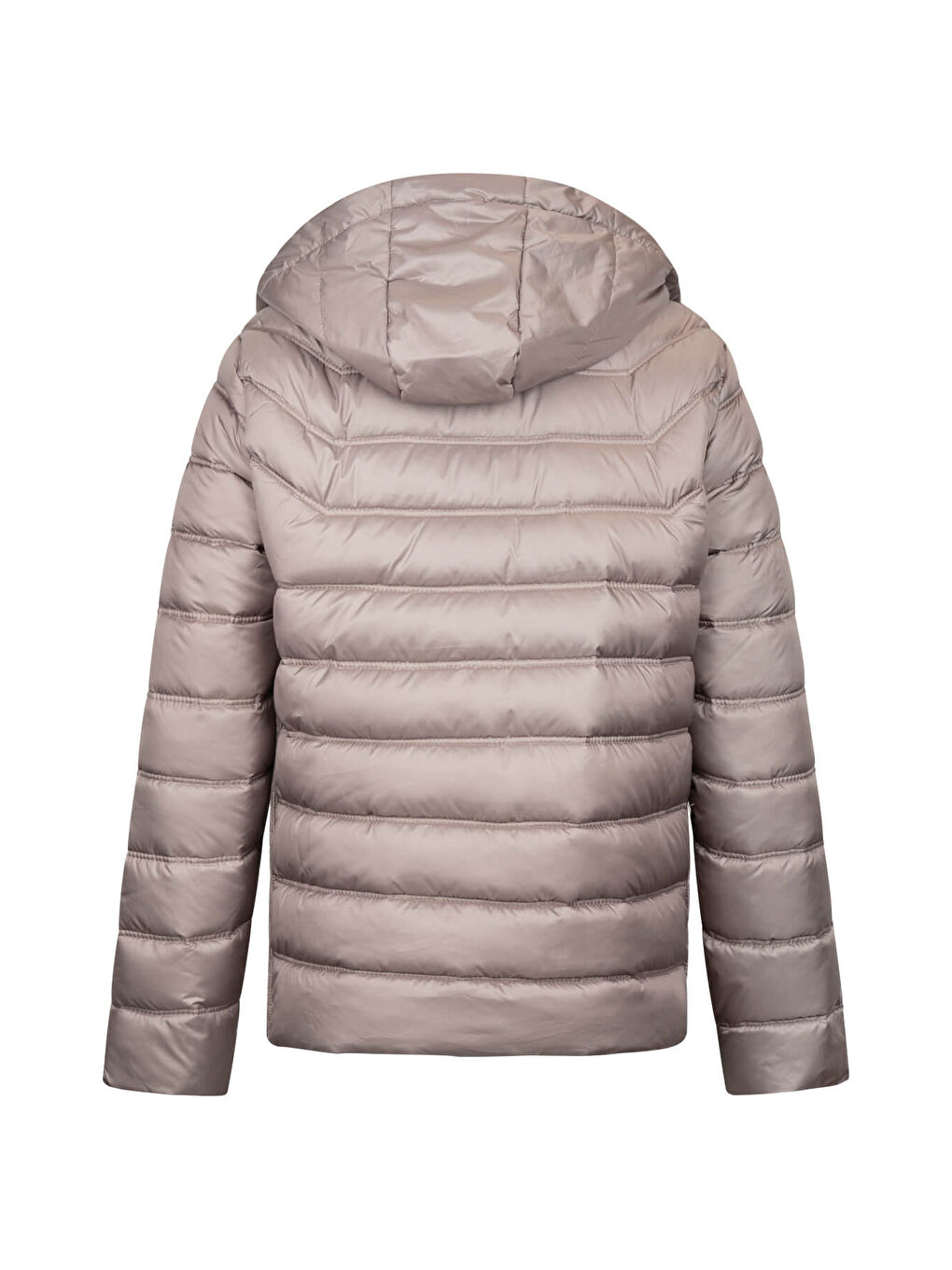 Bej Vizon Slim Fit Hakim Yaka Kapüşonlu Şişme Mont-1