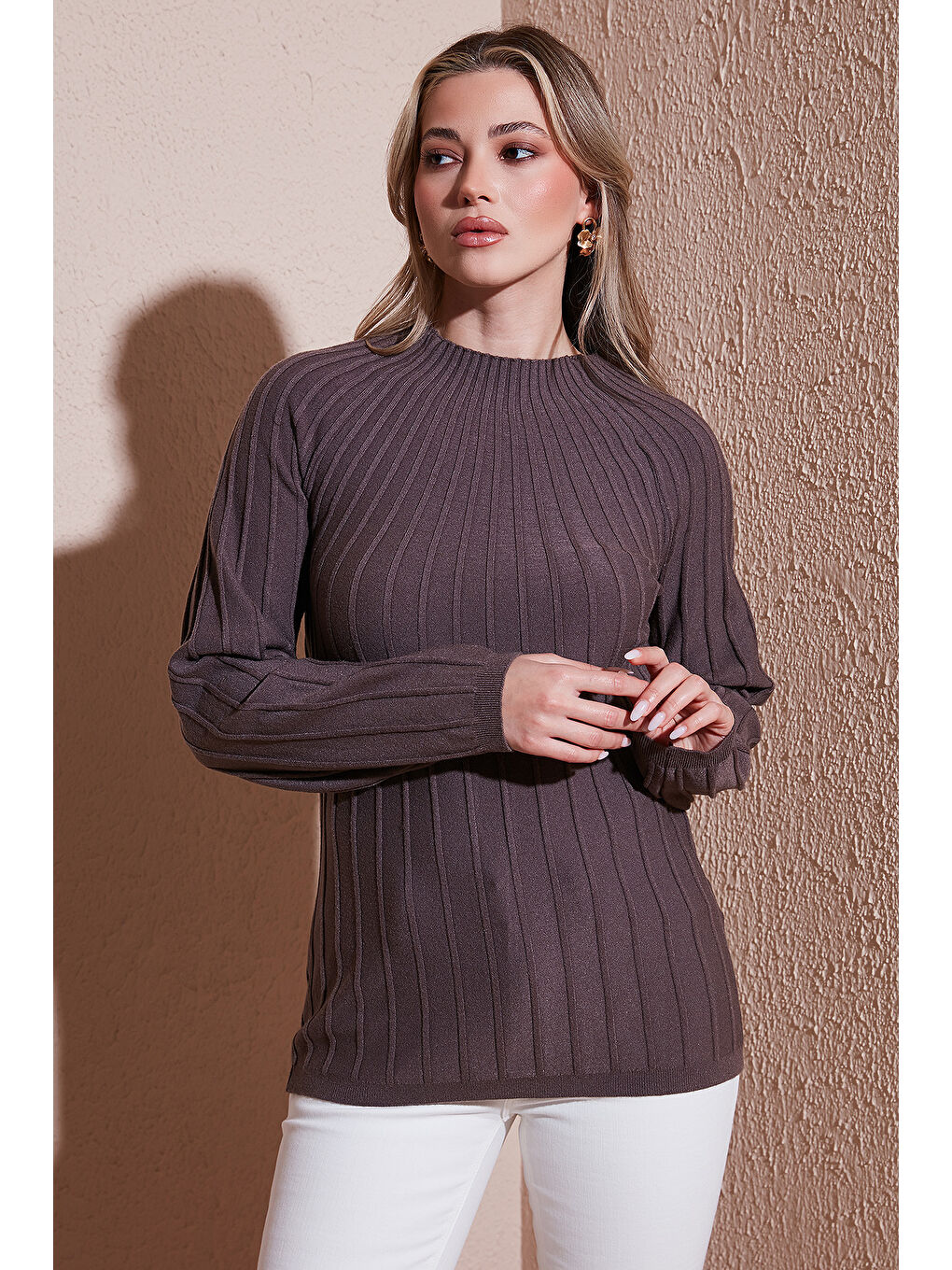 Kahverengi Regular Fit Yarım Balıkçı Yaka Kadın Bluz 25K0361K1-1