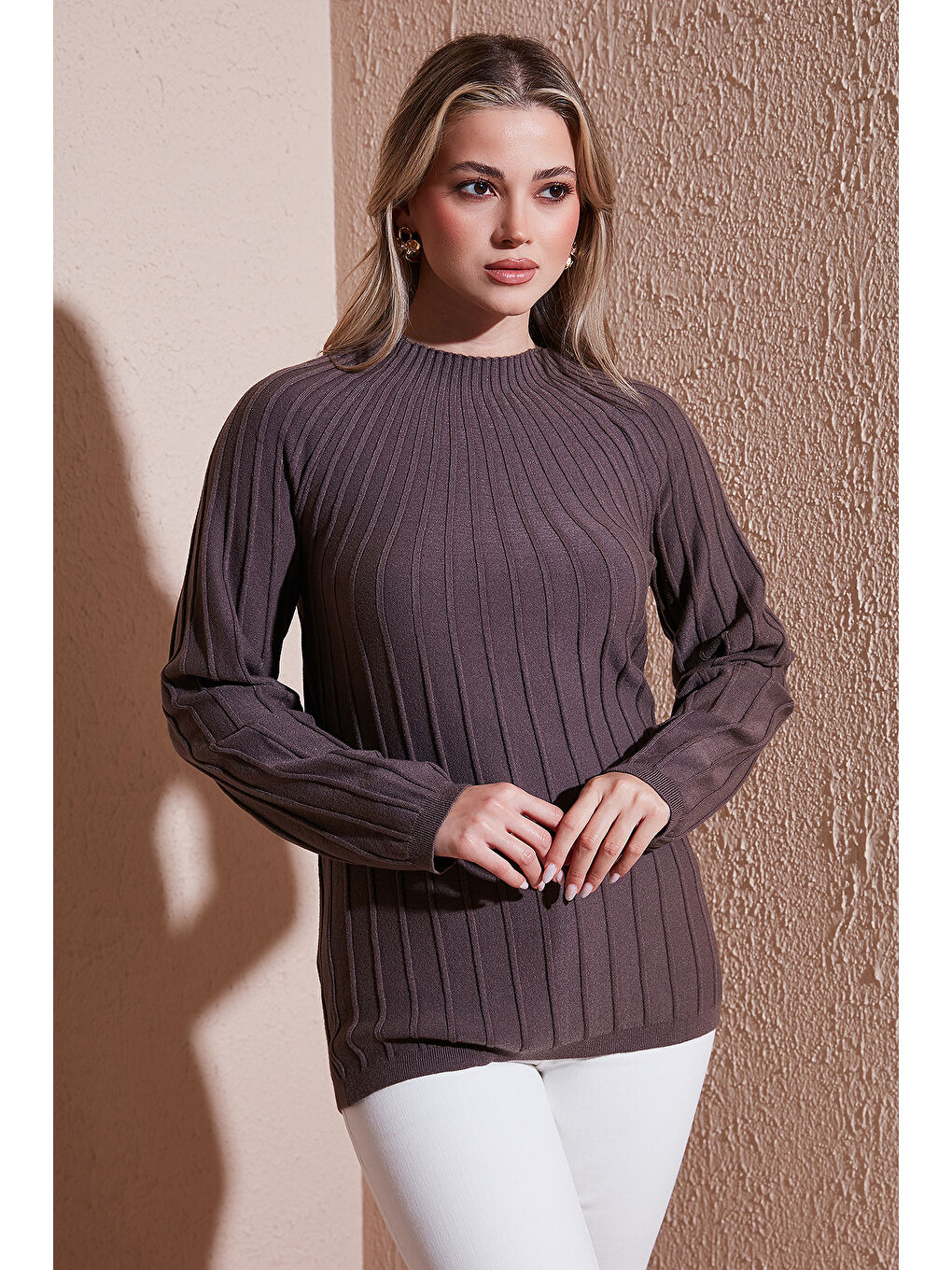 Kahverengi Regular Fit Yarım Balıkçı Yaka Kadın Bluz 25K0361K1-2