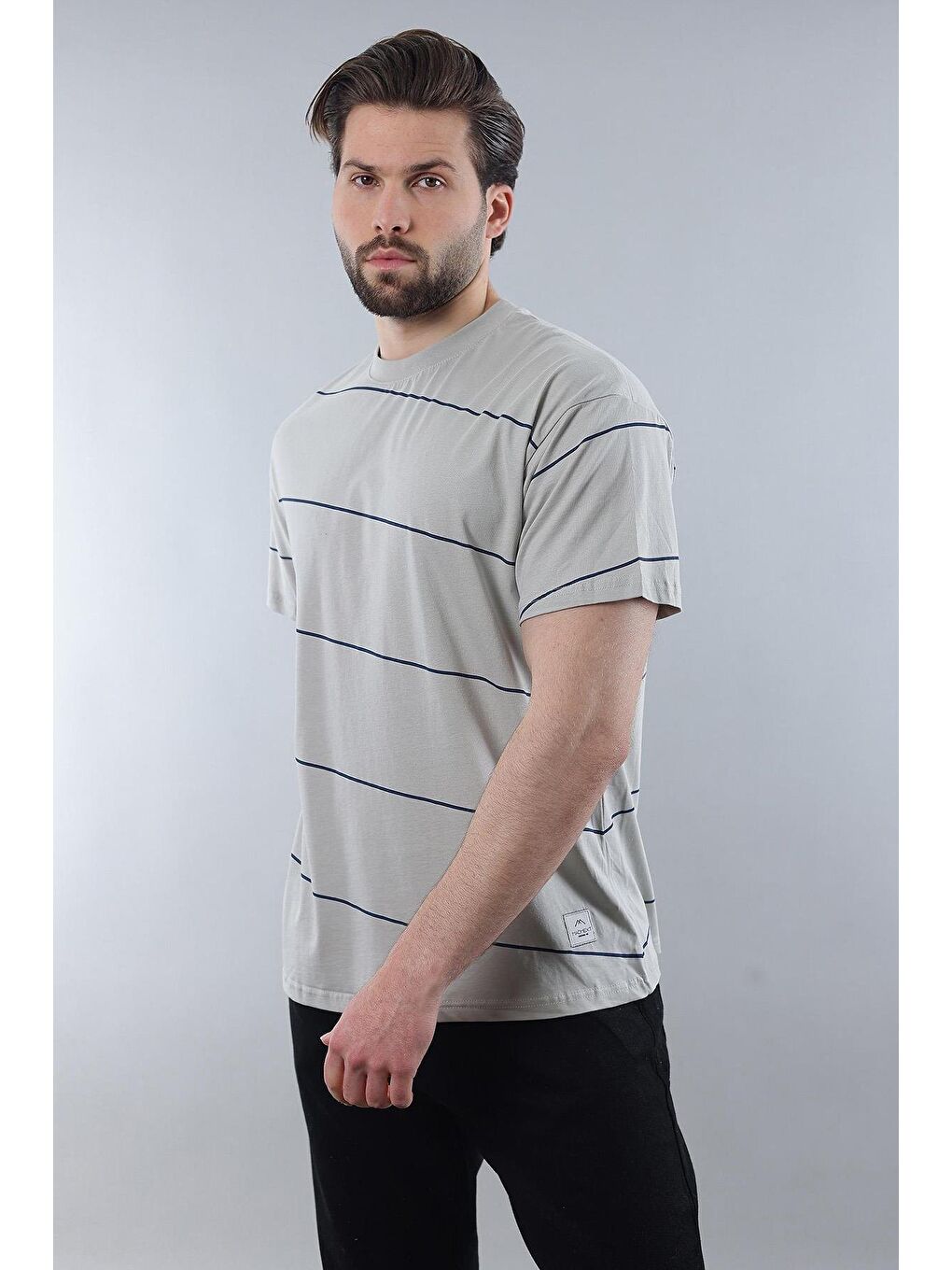Boyalı Gri Bisiklet Yaka Basic Çizgili Erkek Tişört E7102