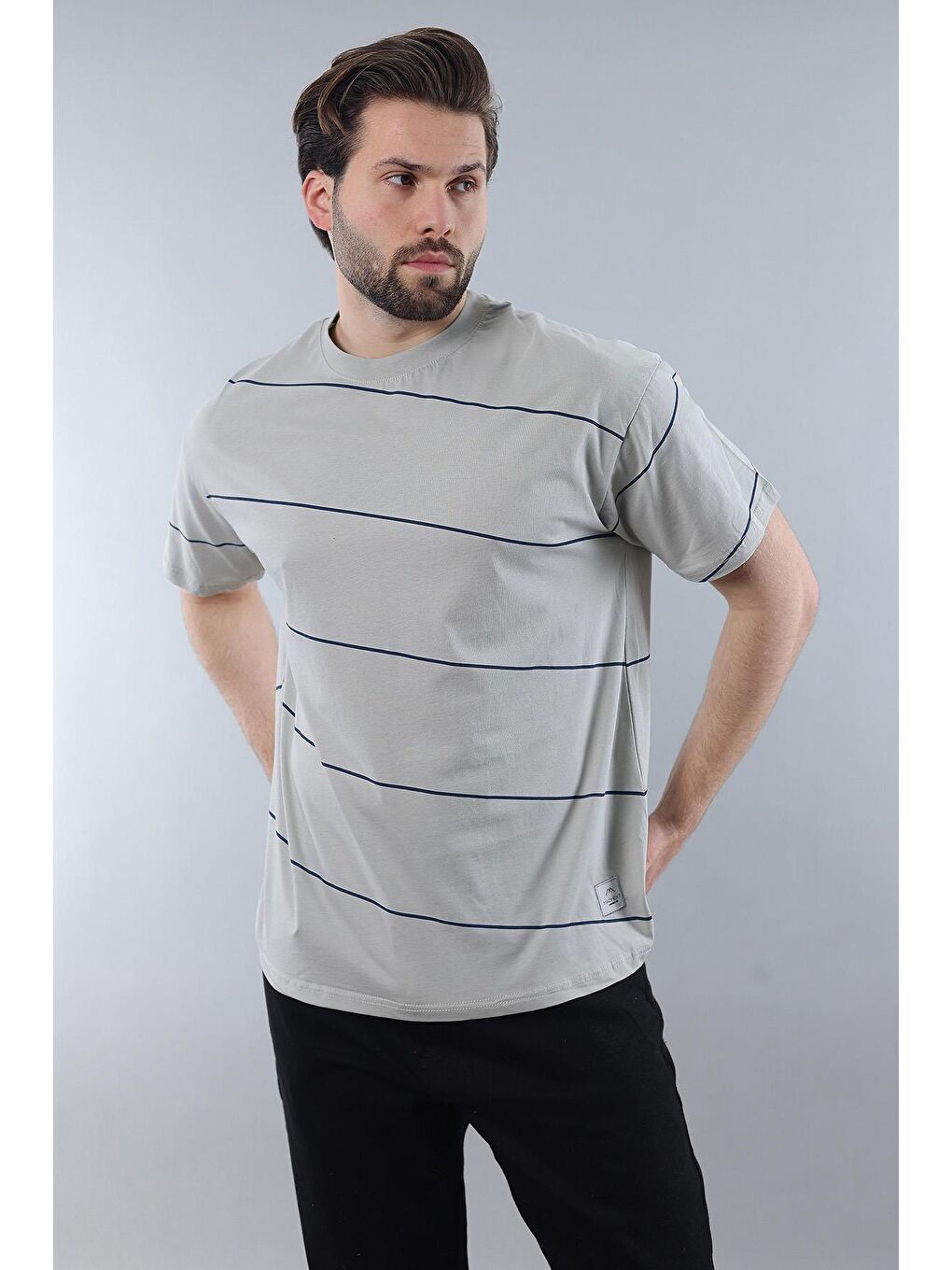 Boyalı Gri Bisiklet Yaka Basic Çizgili Erkek Tişört E7102-3