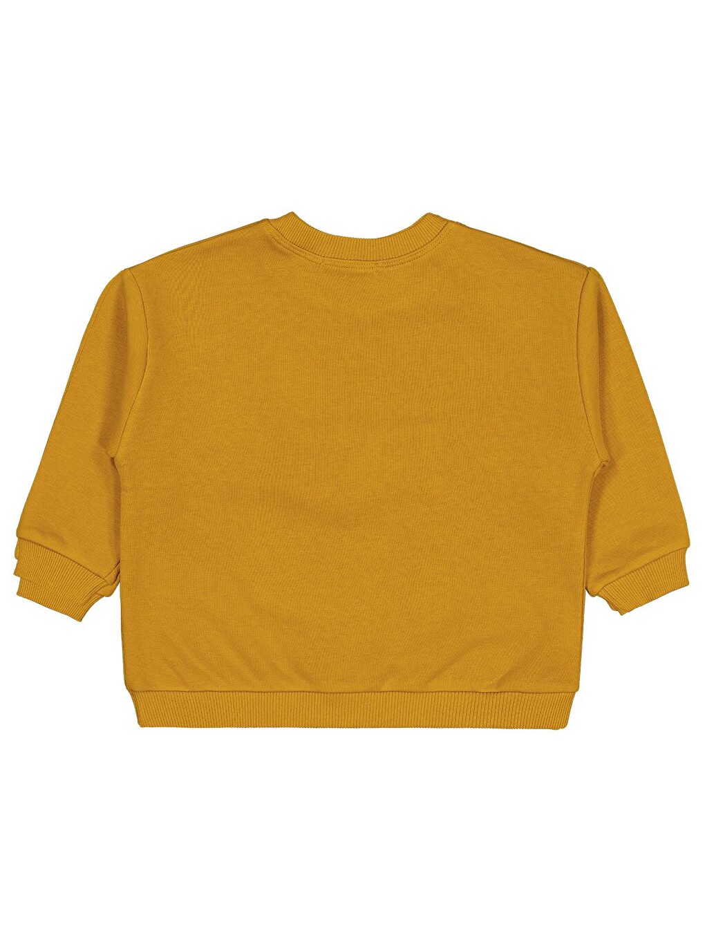 Kahverengi Boys Cep Köpek Nakışlı 2-5 Yaş Sweatshirt - Hardal-1
