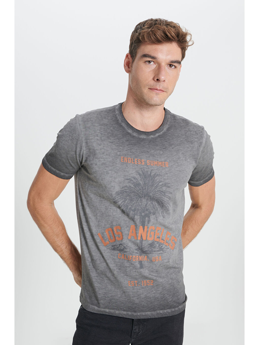 Erkek Antrasit Standart Fit Normal Kesim %100 Pamuk Flamlı Bisiklet Yaka Tişört-2