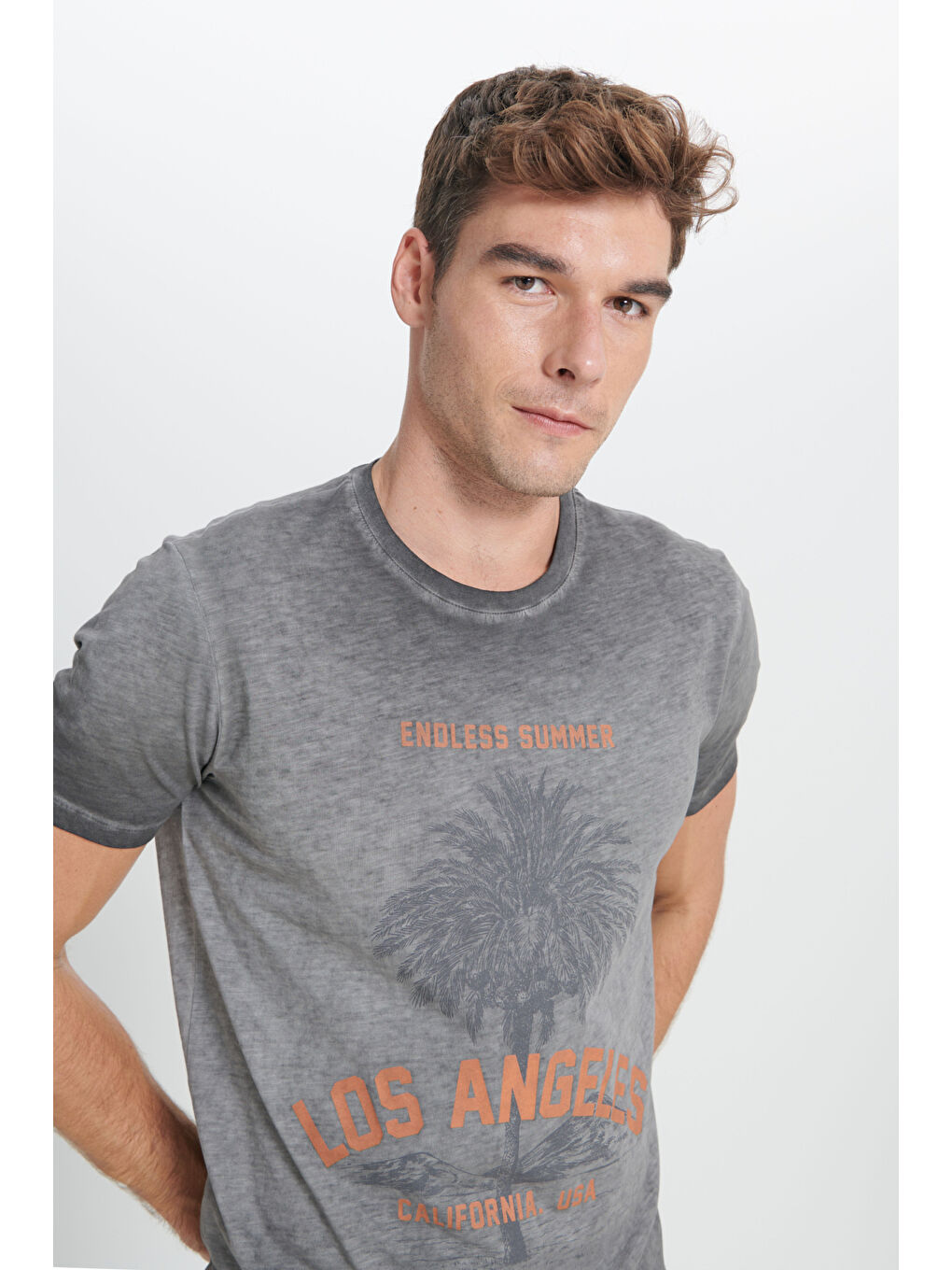 Erkek Antrasit Standart Fit Normal Kesim %100 Pamuk Flamlı Bisiklet Yaka Tişört-3