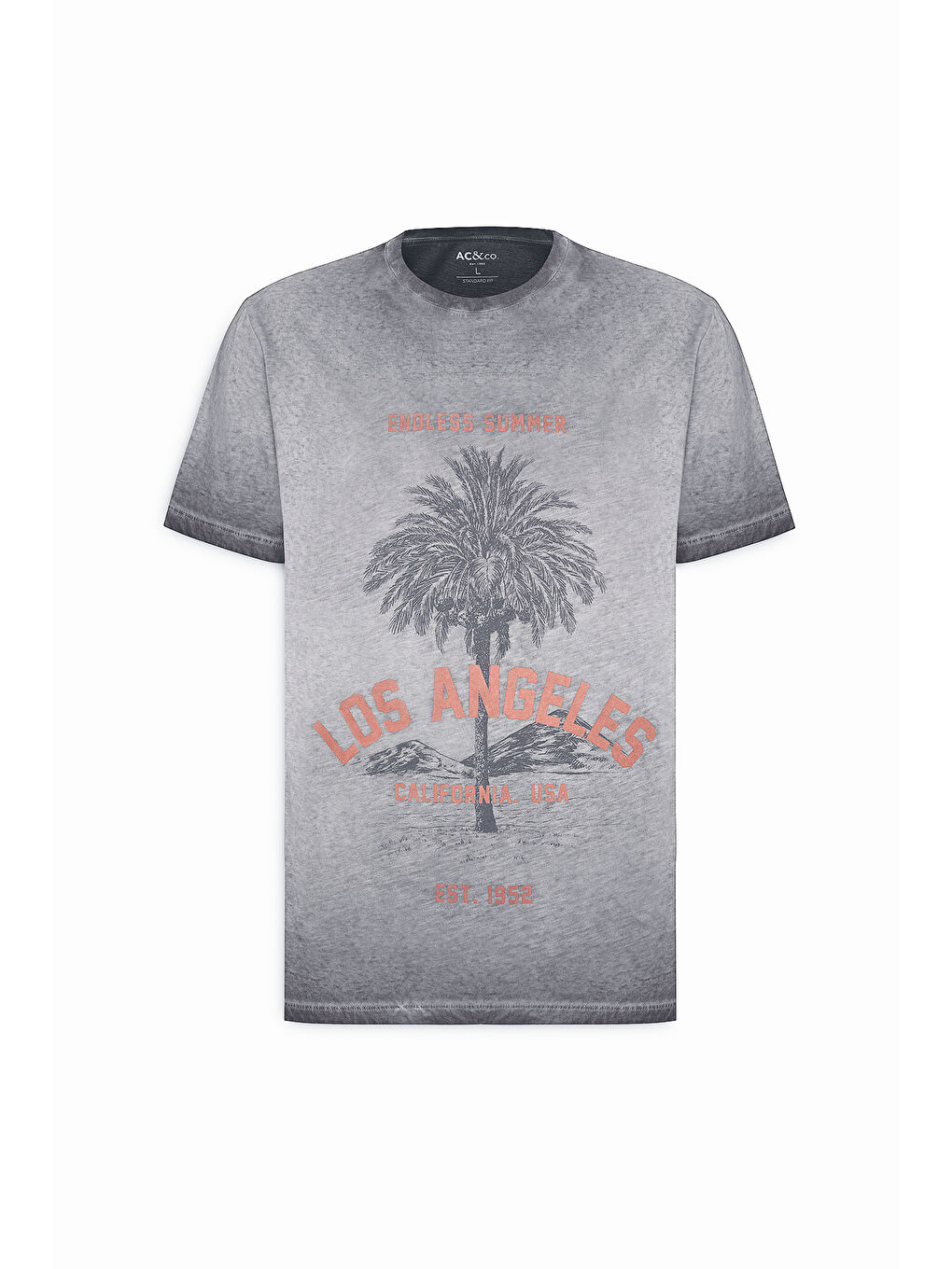 Erkek Antrasit Standart Fit Normal Kesim %100 Pamuk Flamlı Bisiklet Yaka Tişört-5