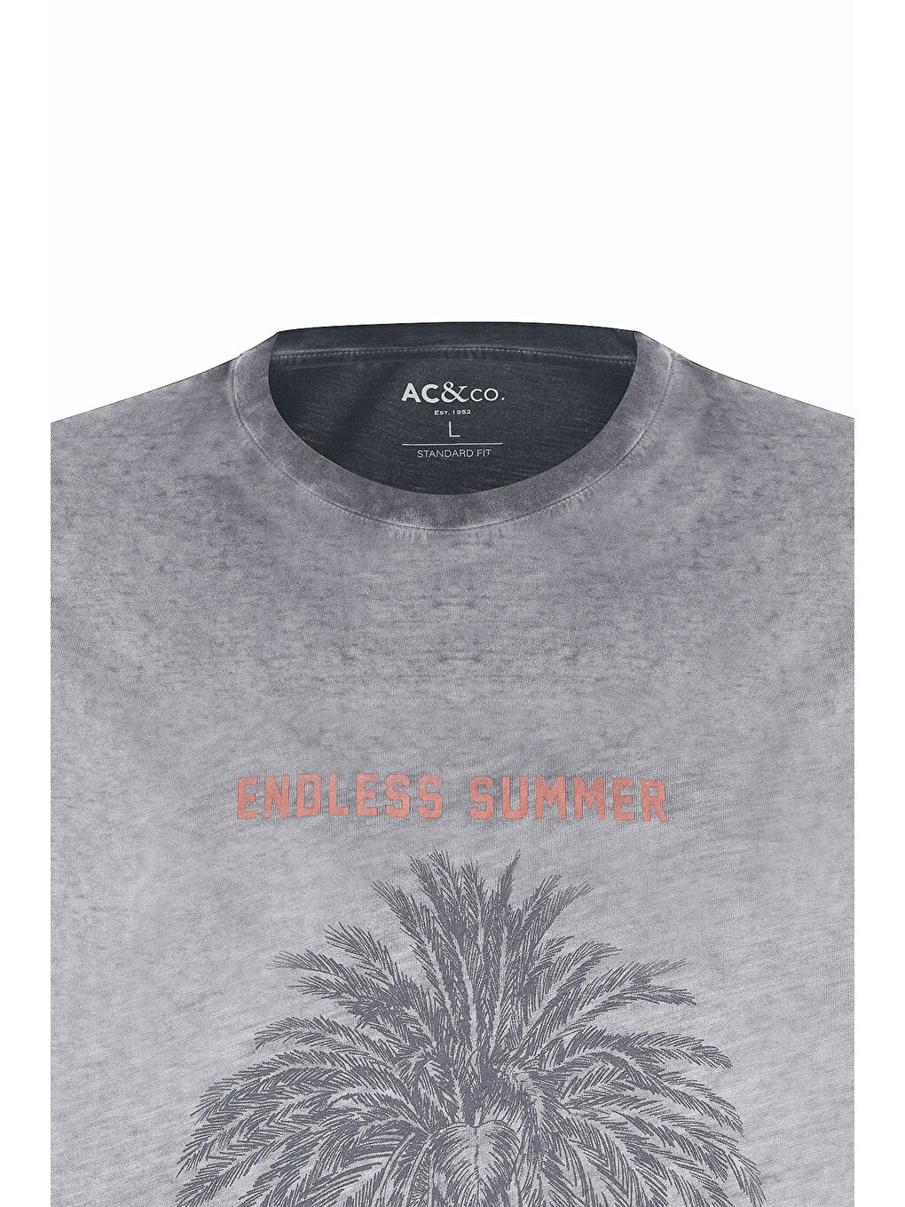 Erkek Antrasit Standart Fit Normal Kesim %100 Pamuk Flamlı Bisiklet Yaka Tişört-6