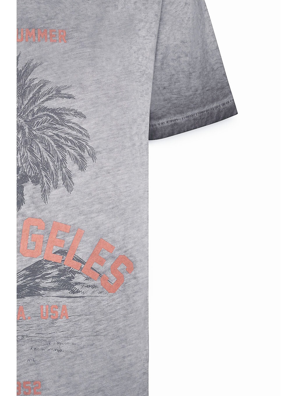 Erkek Antrasit Standart Fit Normal Kesim %100 Pamuk Flamlı Bisiklet Yaka Tişört-7