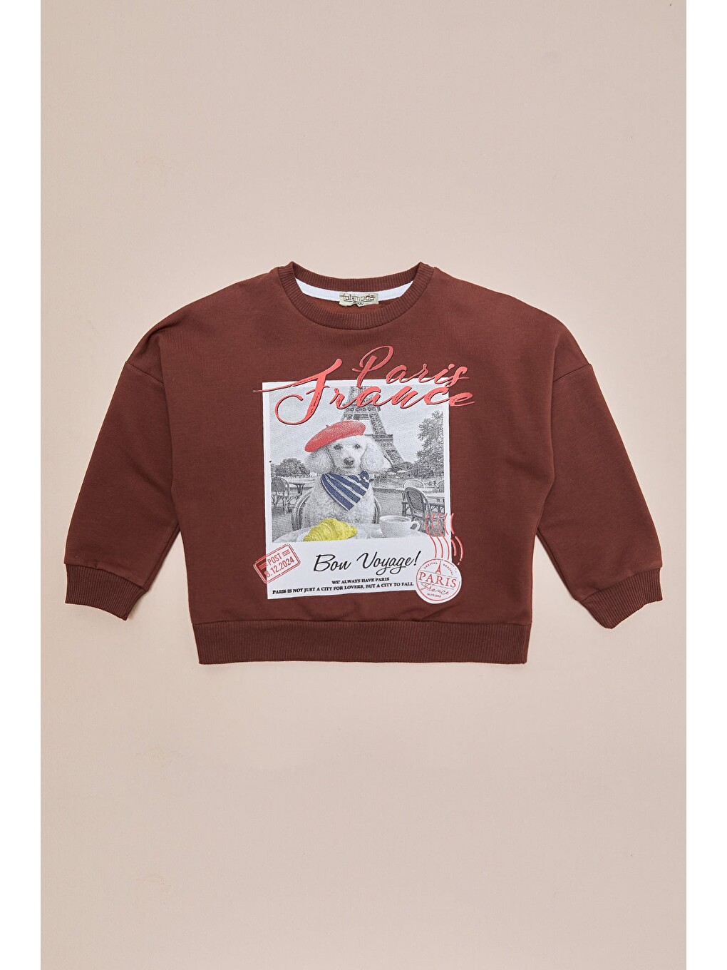 Kahverengi Köpek Baskılı Oversize Erkek Çocuk Sweatshirt-2