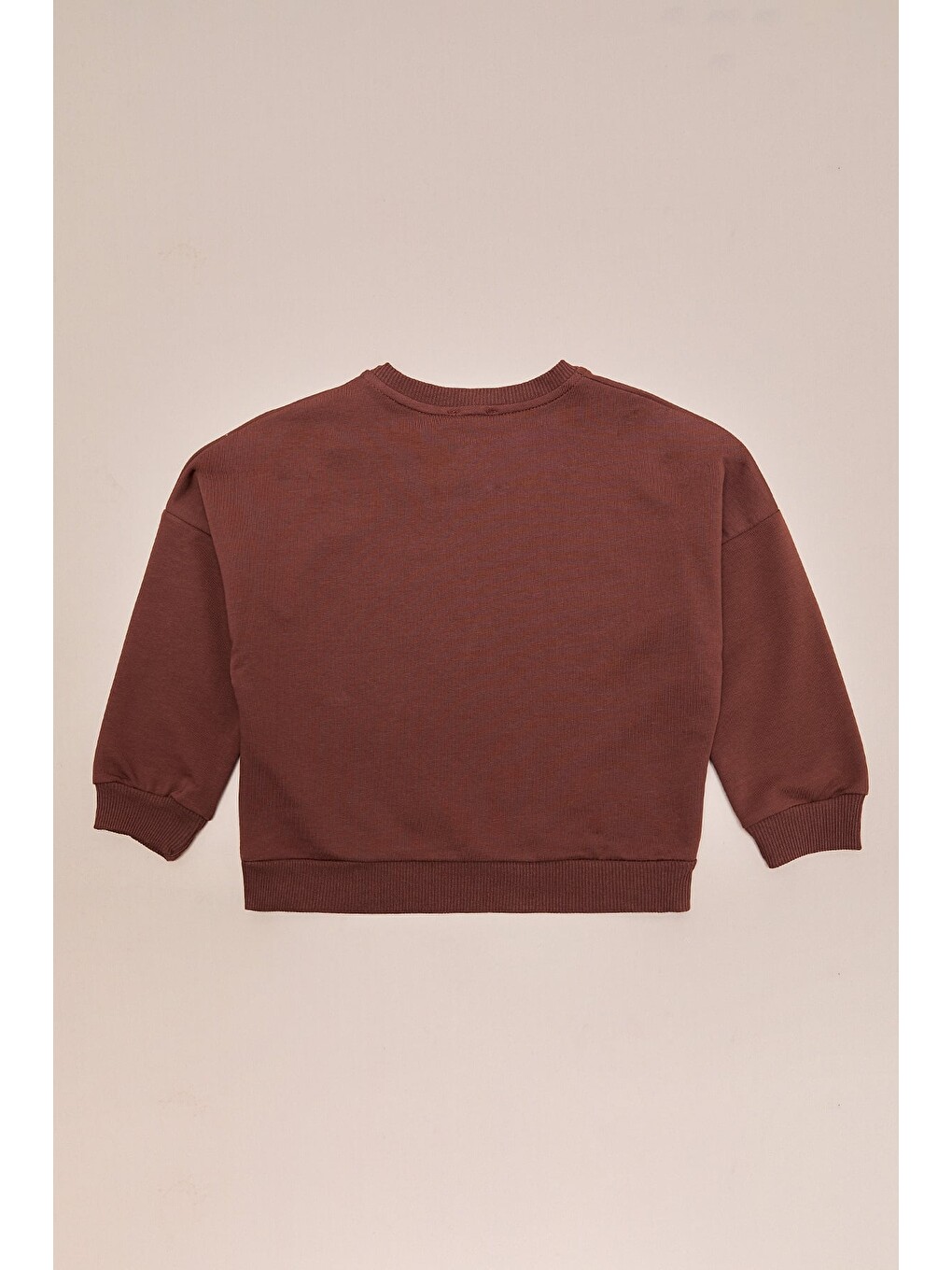 Kahverengi Köpek Baskılı Oversize Erkek Çocuk Sweatshirt-3