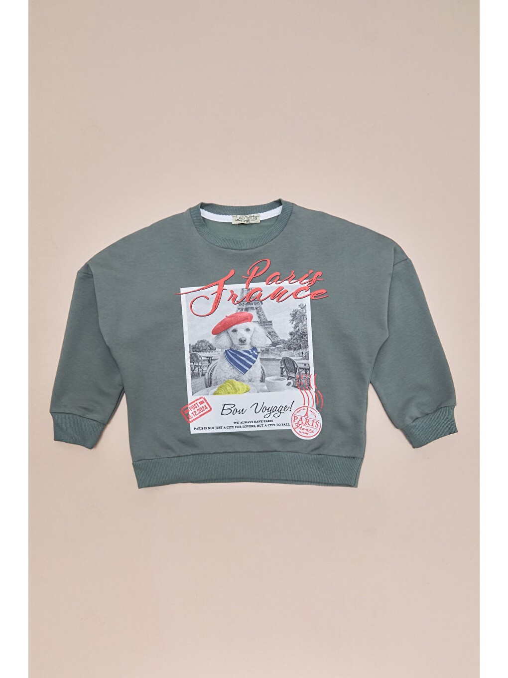 Haki Köpek Baskılı Oversize Erkek Çocuk Sweatshirt-2