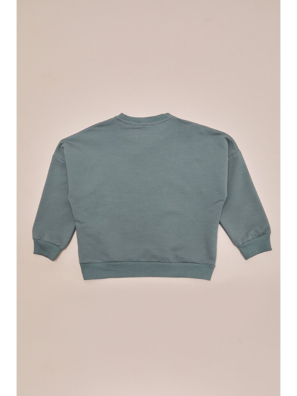 Haki Köpek Baskılı Oversize Erkek Çocuk Sweatshirt-3