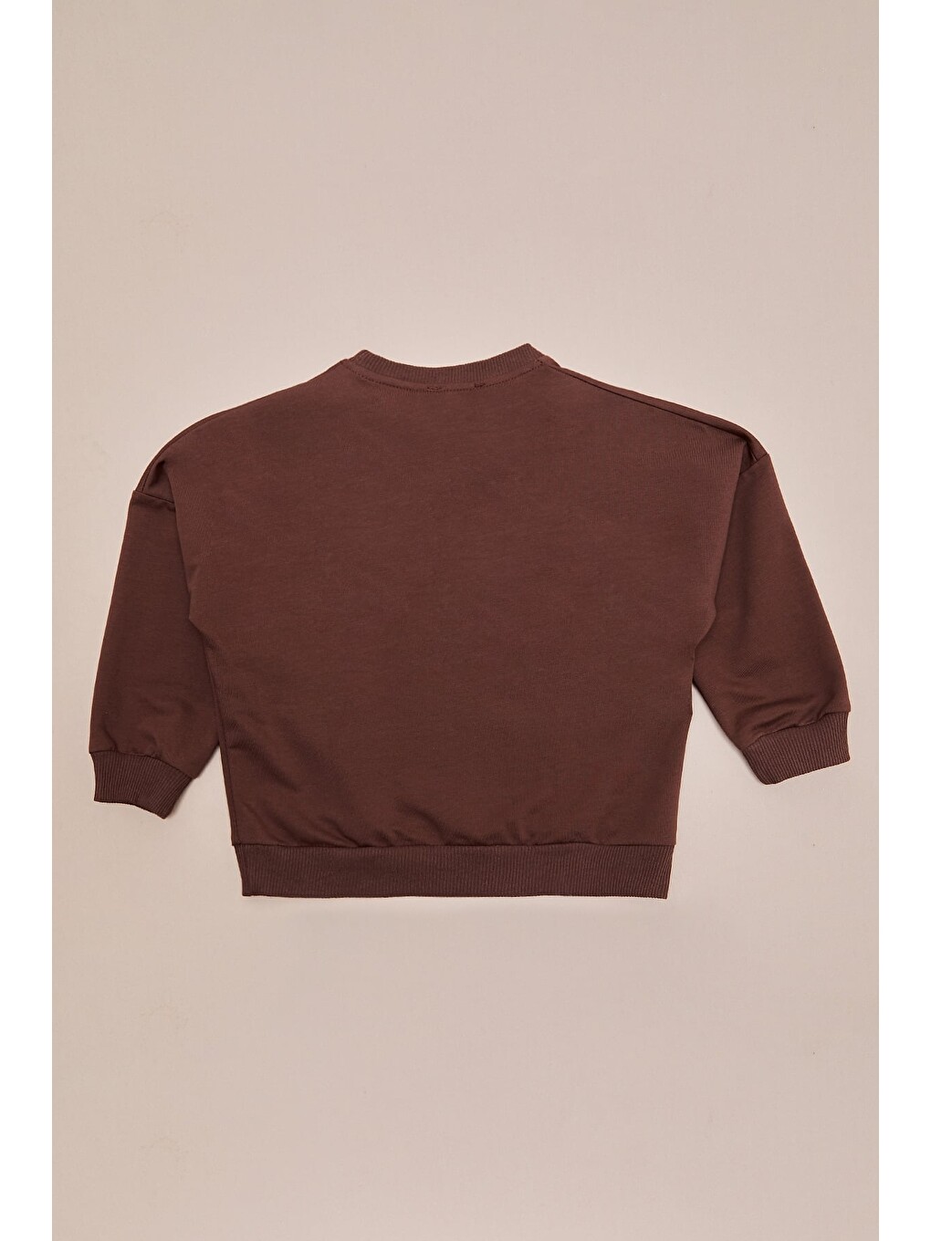 Kahverengi Ayıcık Baskılı Oversize Kız Çocuk Sweatshirt-3