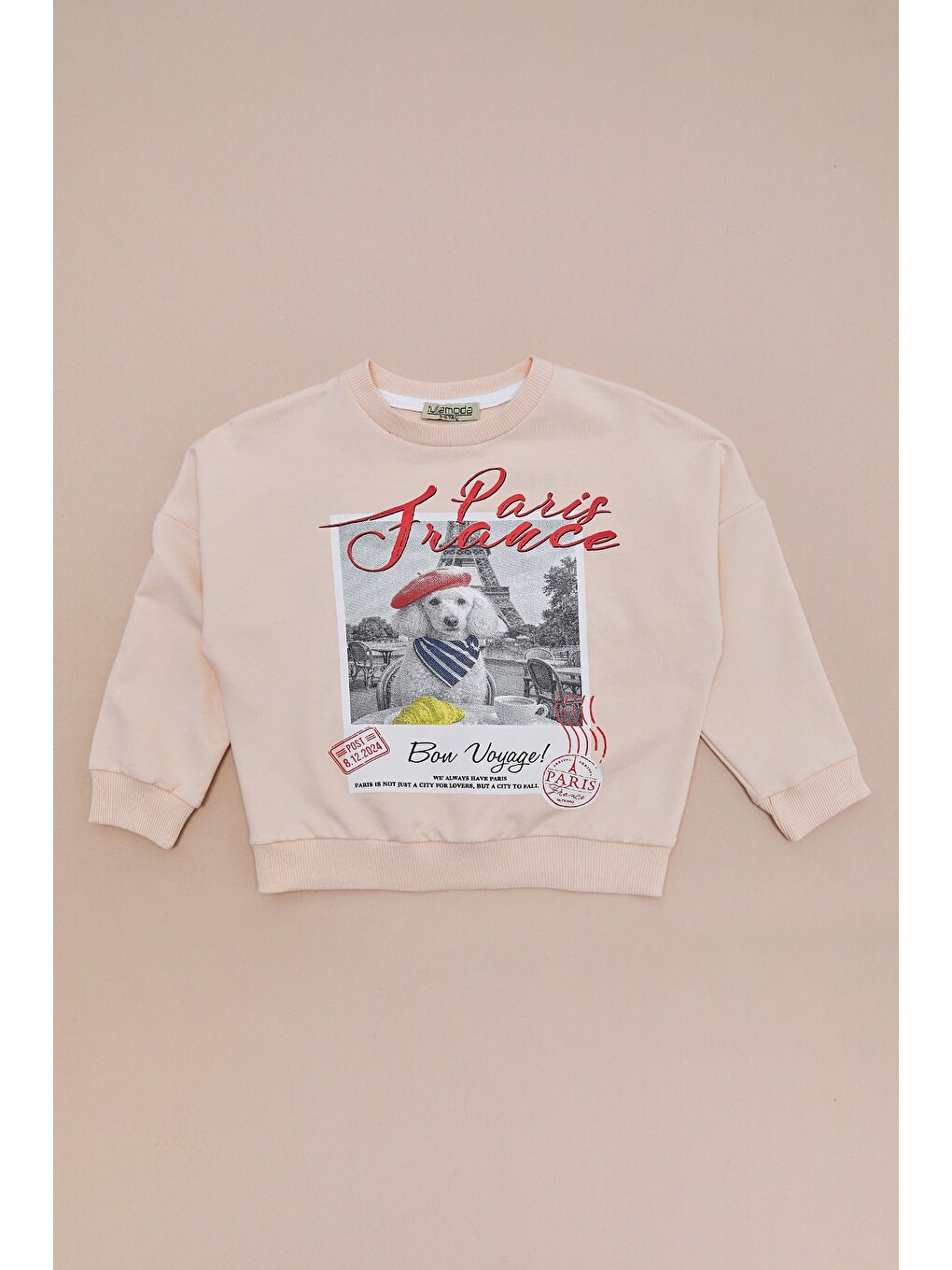 Bej Köpek Baskılı Oversize Erkek Çocuk Sweatshirt-2
