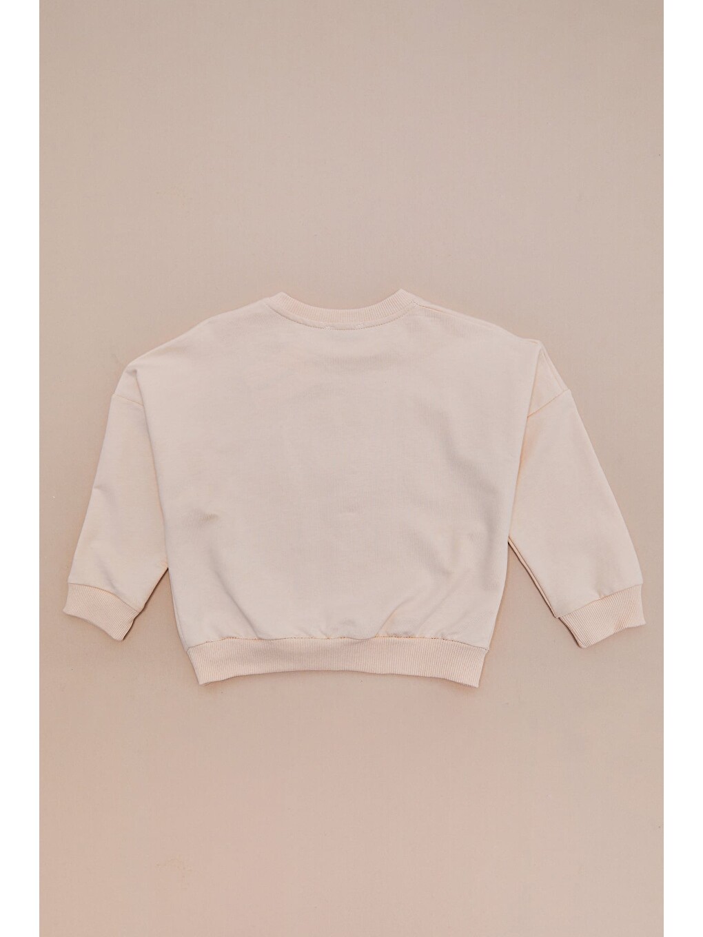 Bej Köpek Baskılı Oversize Erkek Çocuk Sweatshirt-3