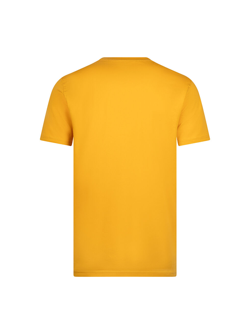 Sarı Regular Fit Bisiklet Yaka Pamuklu Basic Tişört-1