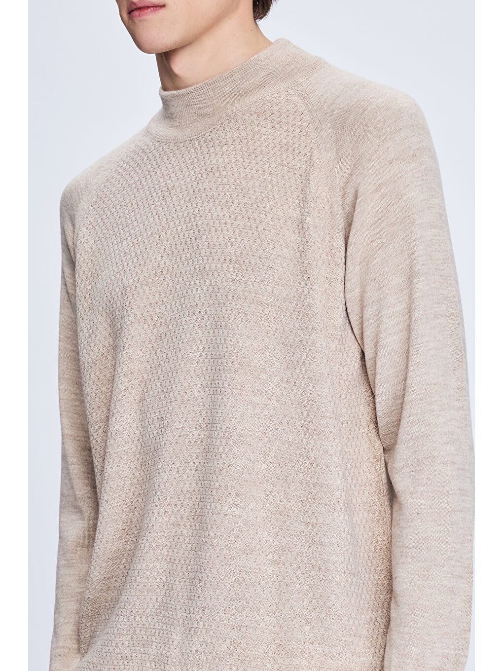 Bej Vizon Regular Fit Jakarlı Yarım Balıkçı Yaka Yünlü Kazak-3